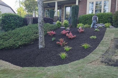 Landscape Design Thumbnail