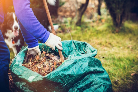 Yard & Property Cleanup Thumbnail