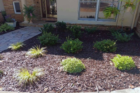 Landscaping Service Image
